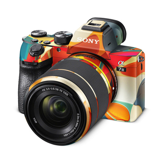 Blue And Orange Paint Design Matte Finish Camera Skin